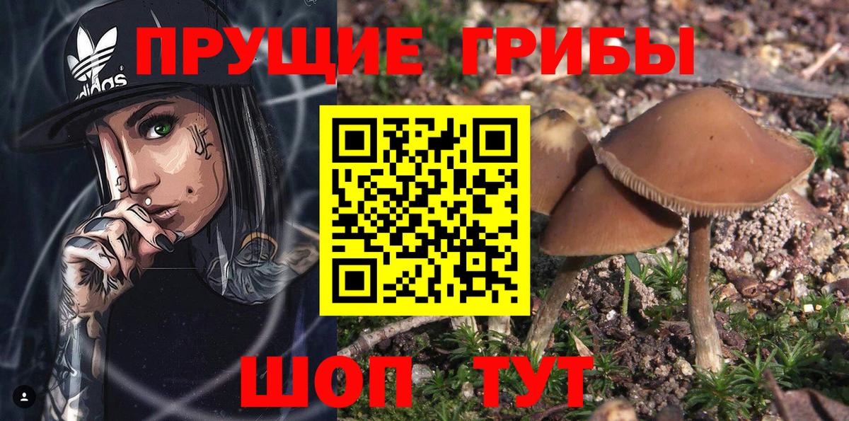 APVP Бузулук
