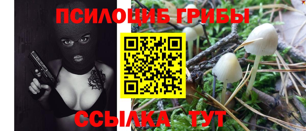 Галлюциногенные грибы MAGIC MUSHROOMS Бузулук