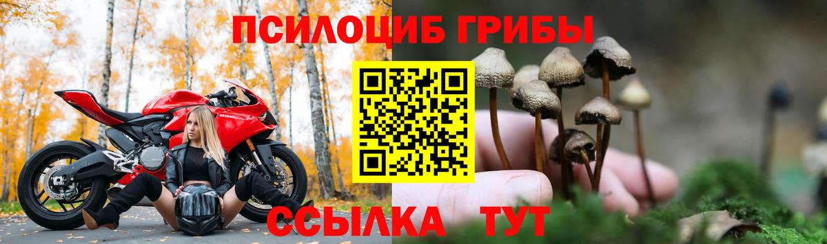 Галлюциногенные грибы прущие грибы  Галлюциногенные грибы GOLDEN TEACHER  Вход с VPN  Бузулук 