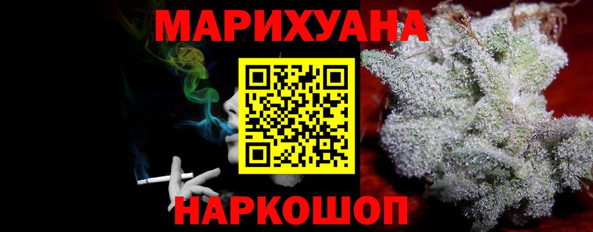 Конопля сатива Бузулук